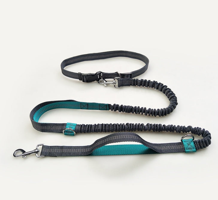 Double Elastic Reflective Running Dog Leash - Snoopy Doo