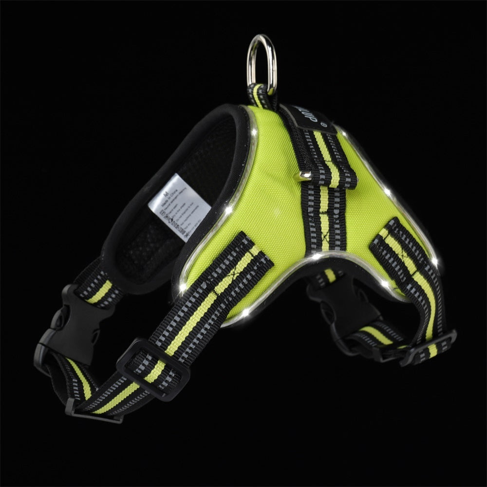 Glowing dog collar - Snoopy Doo