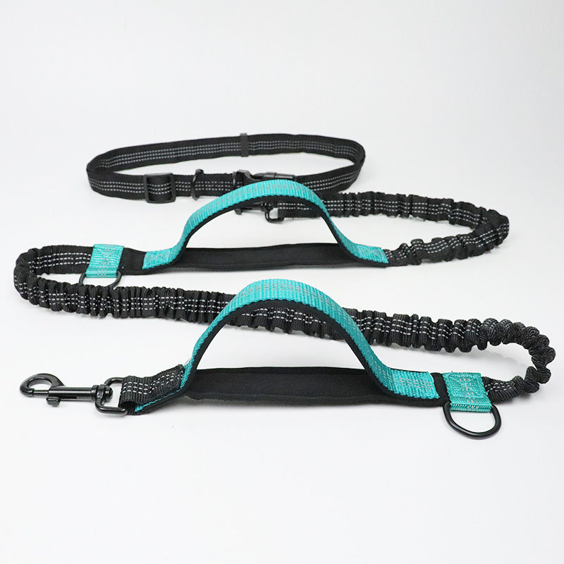 Double Elastic Reflective Running Dog Leash - Snoopy Doo