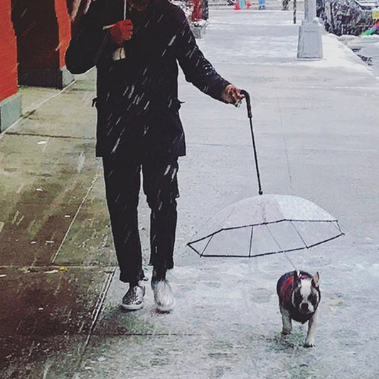 Transparent Dog Umbrella - Snoopy Doo