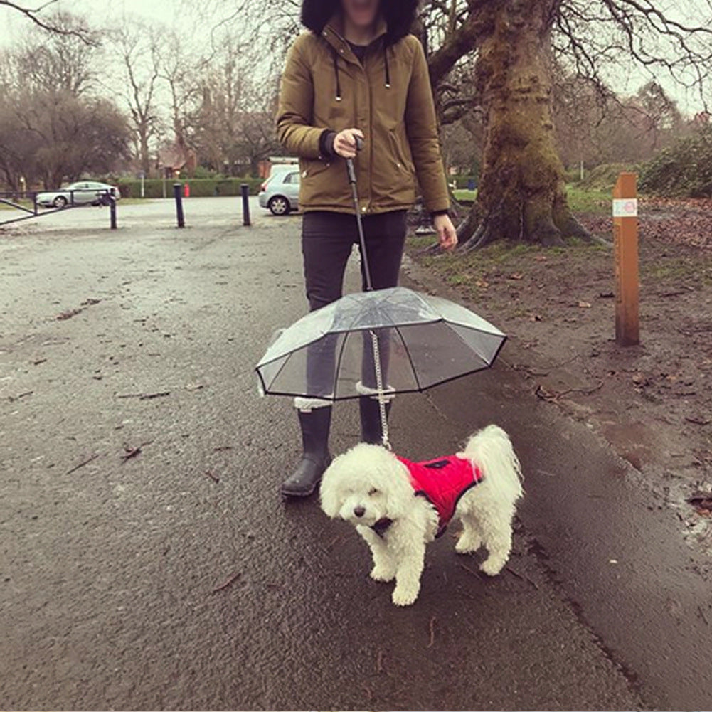 Transparent Dog Umbrella - Snoopy Doo