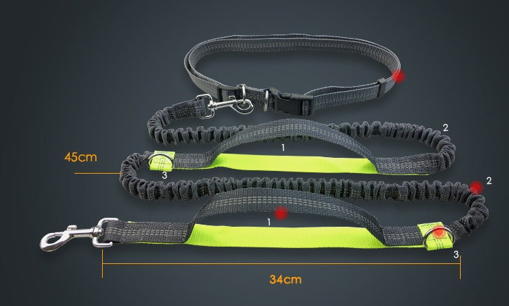Double Elastic Reflective Running Dog Leash - Snoopy Doo
