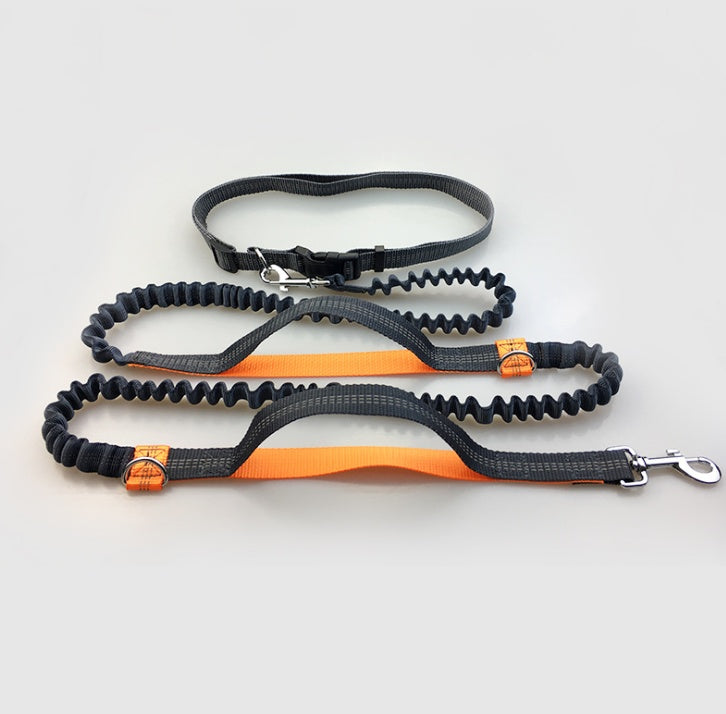Double Elastic Reflective Running Dog Leash - Snoopy Doo