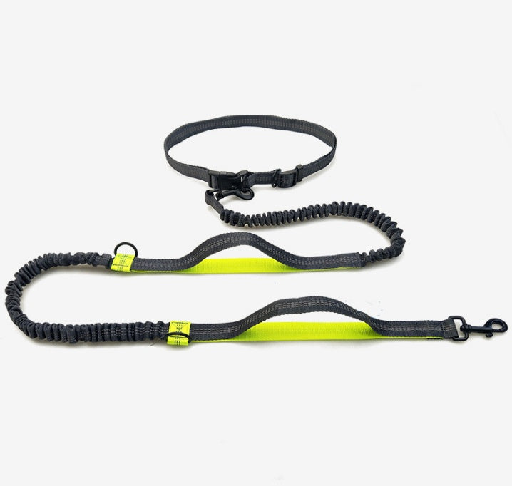 Double Elastic Reflective Running Dog Leash - Snoopy Doo