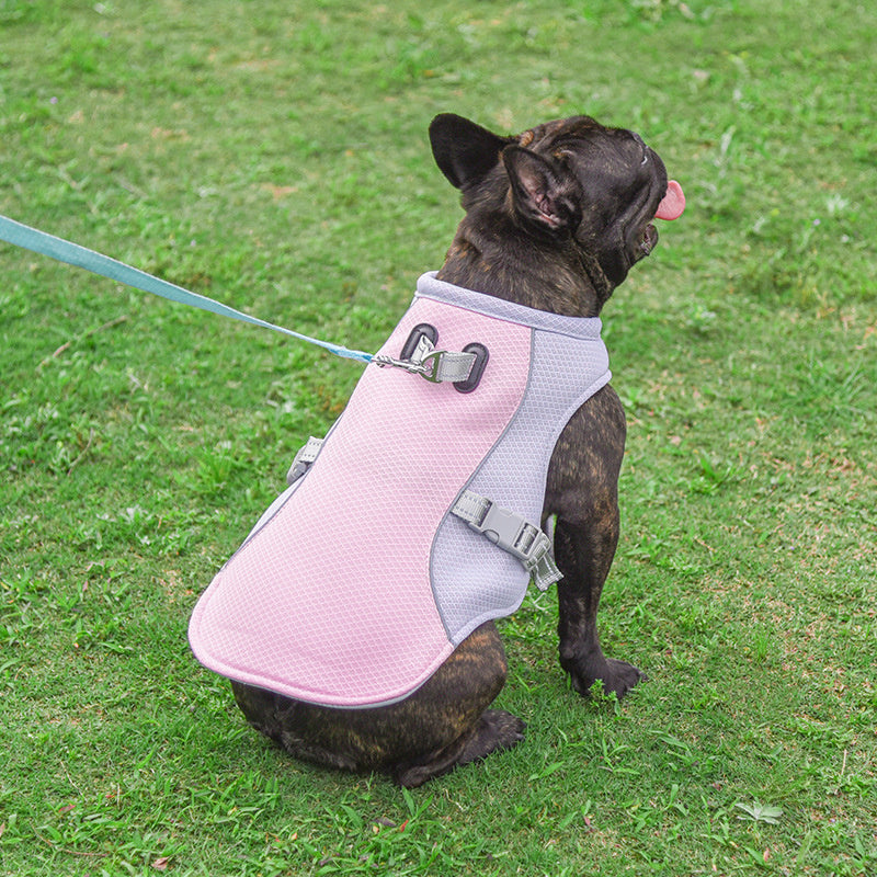 Summer Pet Cooling Vest – Breathable Outdoor Gear - Snoopy Doo
