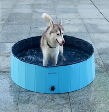 Foldable Pet Dog Swimming Pool - Snoopy Doo