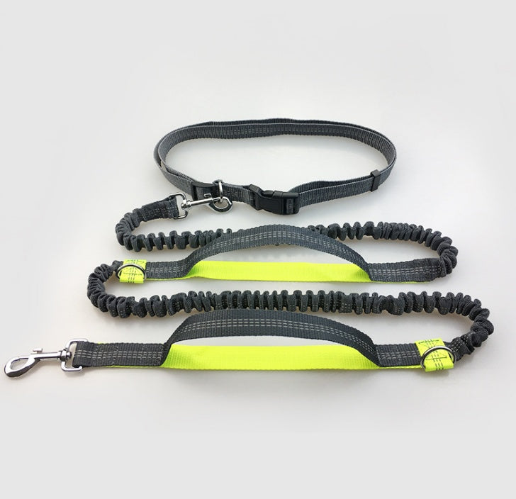 Double Elastic Reflective Running Dog Leash - Snoopy Doo