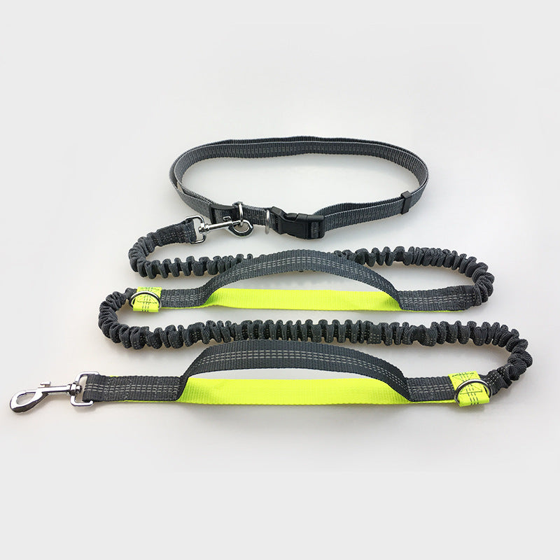 Double Elastic Reflective Running Dog Leash - Snoopy Doo